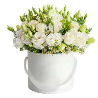 סידורי פרחים בקופסא