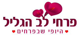 פרחי לב הגליל